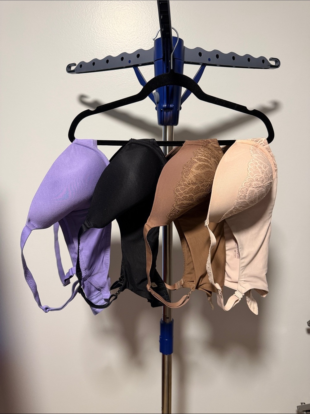 Everyday Seamless T-Shirt Bra - Lavender, Black, Brown, Light Pink